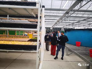 從引進(jìn)來(lái)到走出去,農(nóng)業(yè)無(wú)國(guó)界,與百源康工廠化魚菜共生一起合作求共贏