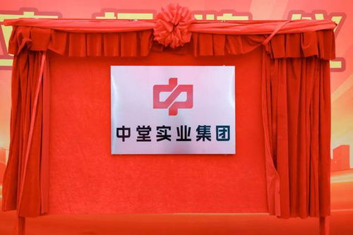 高質(zhì)量發(fā)展新征程 中堂實業(yè)集團揭牌成立，百墩實業(yè)開啟新篇章