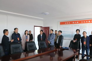 縣人大常委會視察全縣交通工作，聚焦百墩實業(yè)發(fā)展成效