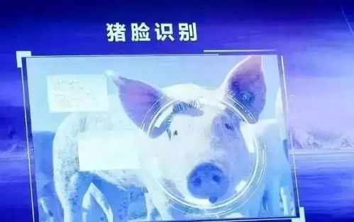 互聯(lián)網(wǎng)巨頭跨界種黃瓜，人工智能引領(lǐng)現(xiàn)代農(nóng)業(yè)新浪潮