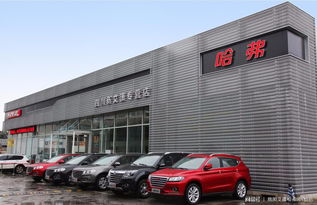 百年艾瀟，以夢為馬 百墩實業加盟再添一員悍將